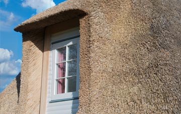 Hemingstone thatch roof disadvantages